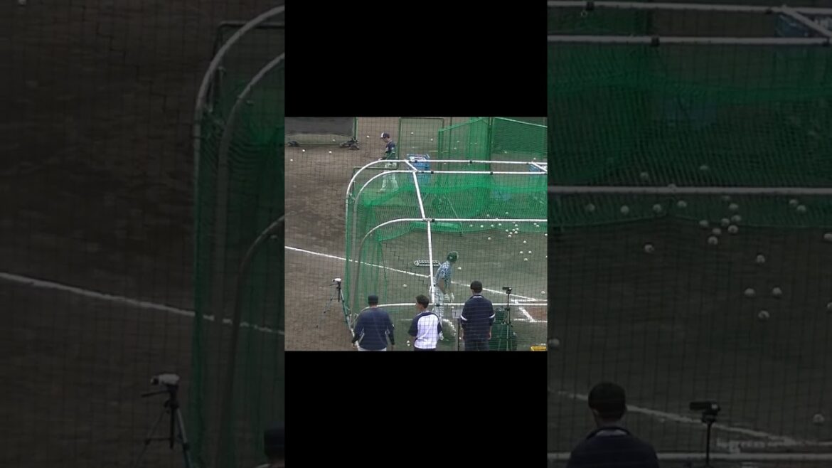 【ヤクルトキャンプ】松本直樹のフリーバッティング【春季浦添キャンプ ヤクルトスワローズ2024年2月20日】