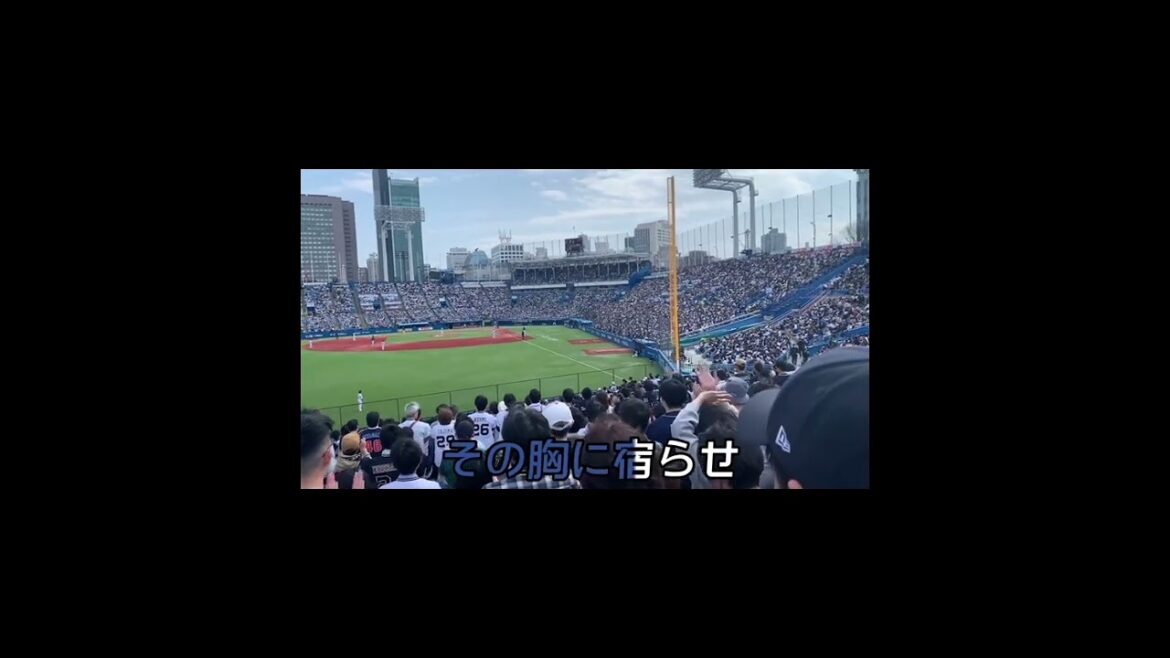 （神音質）【オリックス・バファローズ】#太田椋 選手応援歌 #プロ野球 #応援歌 #歌詞付き応援歌 #高音質 #オリックスバファローズ #オリックス応援歌