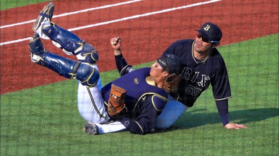 石川亮とＴ−岡田がぶつかりながらもキャッチ！怪我なくベンチへ戻る！2024/03/17 オープン戦 神宮球場 東京ヤクルトスワローズ