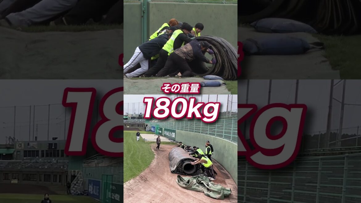 Pacific-League: パ・リーグ裏側密着中!「パーソルカメラ」用具担当徹底取材!! #shorts #パーソルカメラ パ・リーグ裏側密着中!「パーソルカメラ」用具担当徹底取材!! #shorts #パーソルカメラ