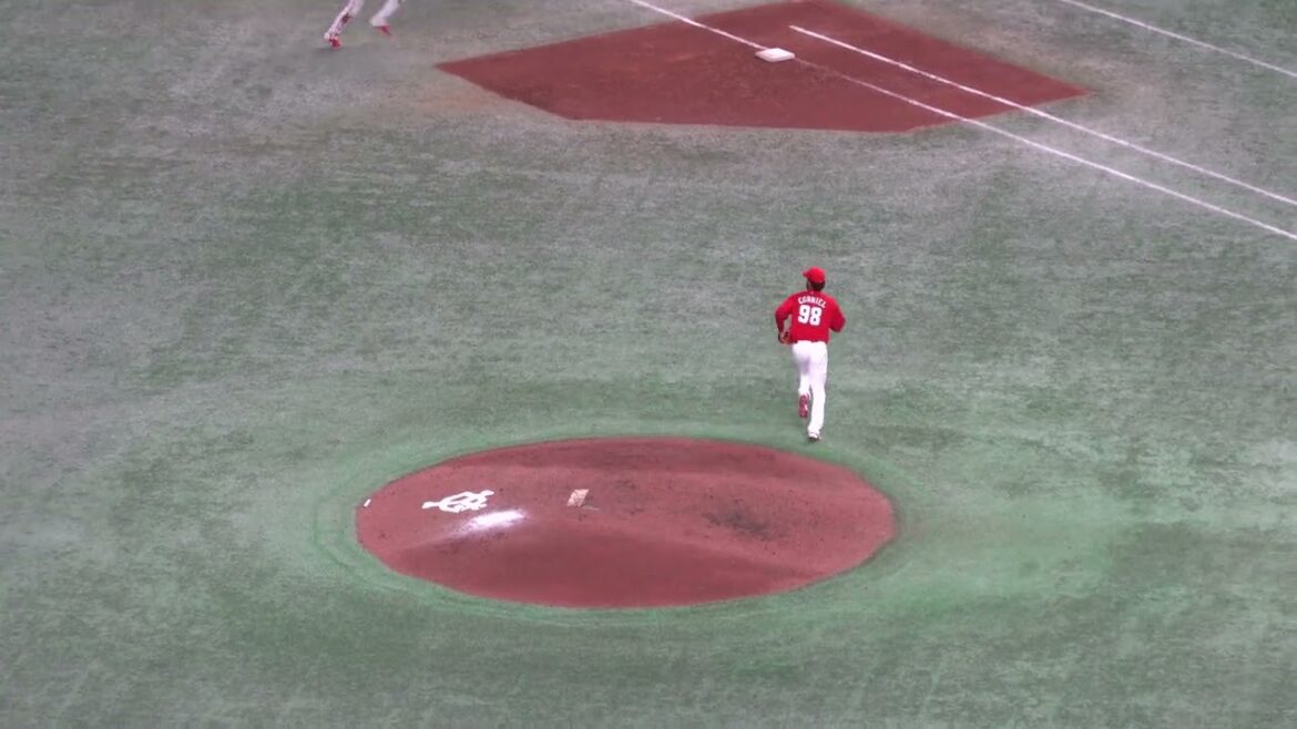 カープ　ロベルト・コルニエル