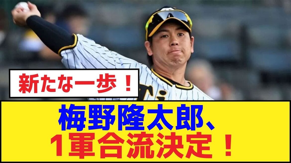 梅野隆太郎、1軍合流決定！【梅野隆太郎・阪神タイガース】