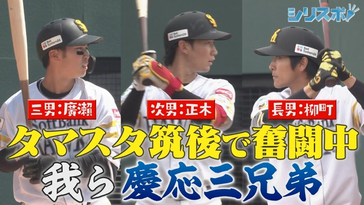 柳町＆正木＆廣瀨　タマスタで奮闘中の慶応三兄弟【シリスポ！ホークスこぼれ話】