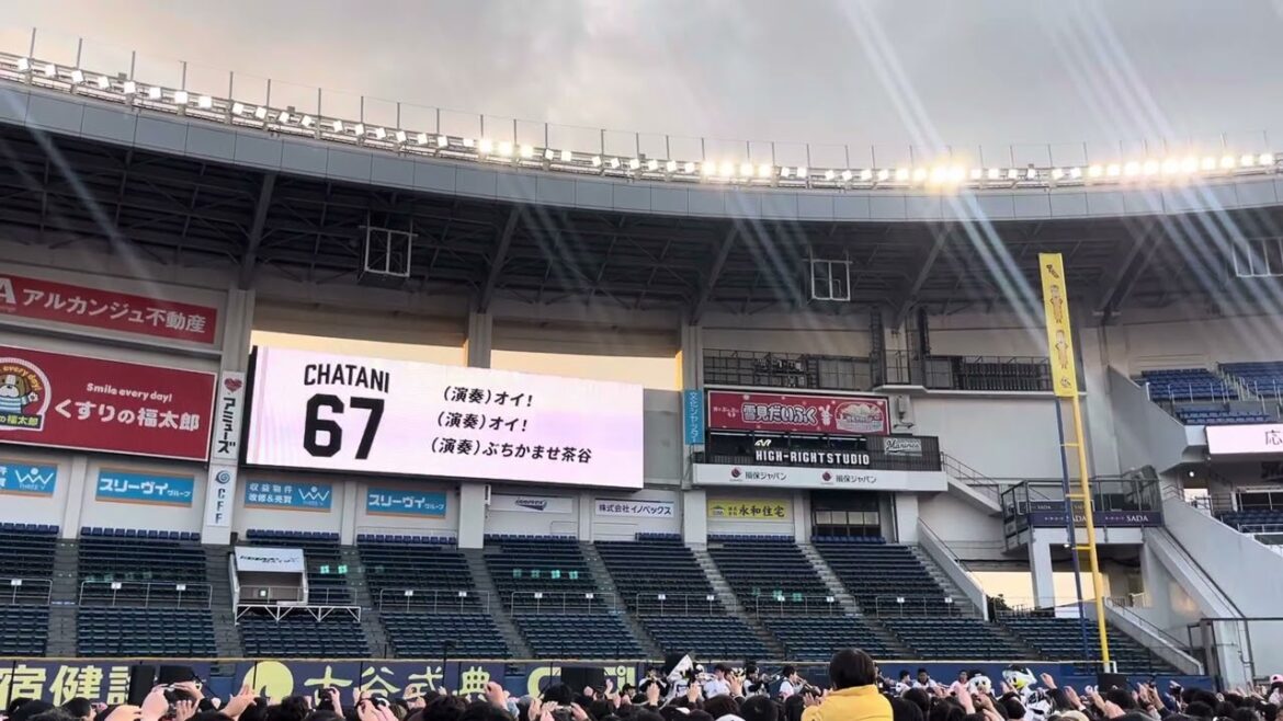 【決起集会】千葉ロッテマリーンズ 茶谷健太 応援歌【歌詞付き】