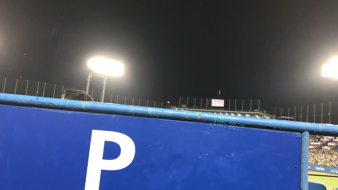 2021/10/9 ヤクルト　高橋奎二　登場曲