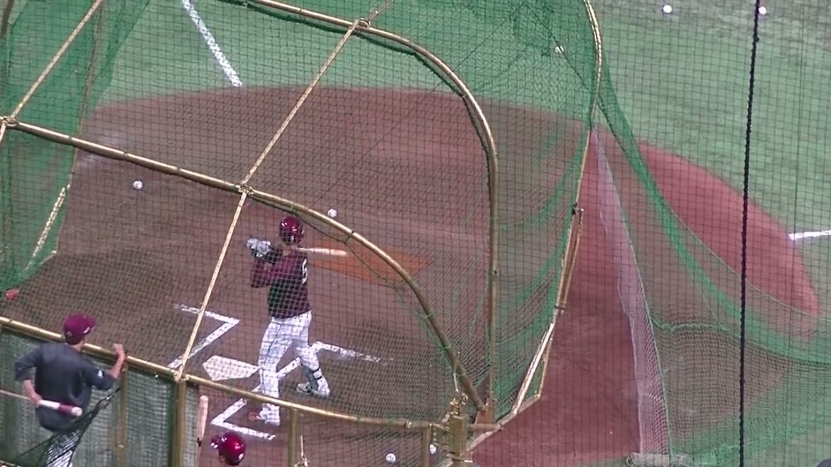 【楽天】茂木栄五郎のフリーバッティング＜読売ジャイアンツ対 楽天イーグルス 2024年3月22日 試合前＞