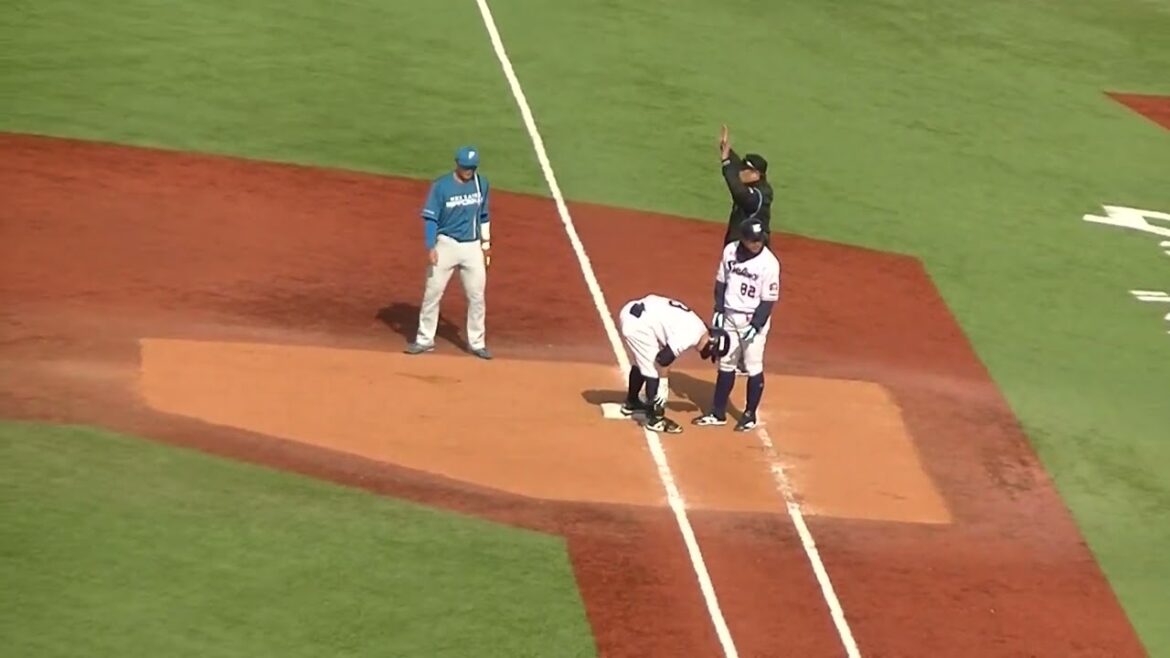 青木宣親 流石のライト前ヒット（2024年3月19日 ヤクルトスワローズ対 日本ハムファイアーズ）