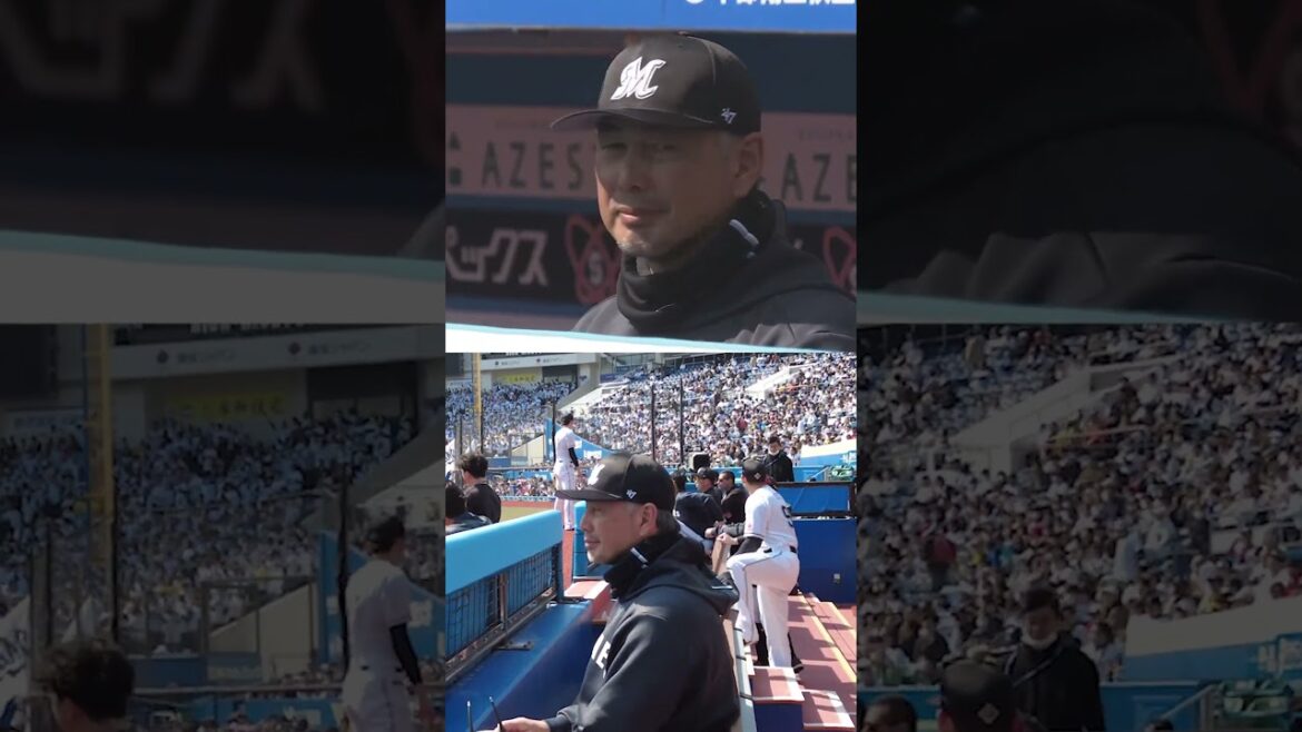 カメラパフォーマンスの裏側 #chibalotte