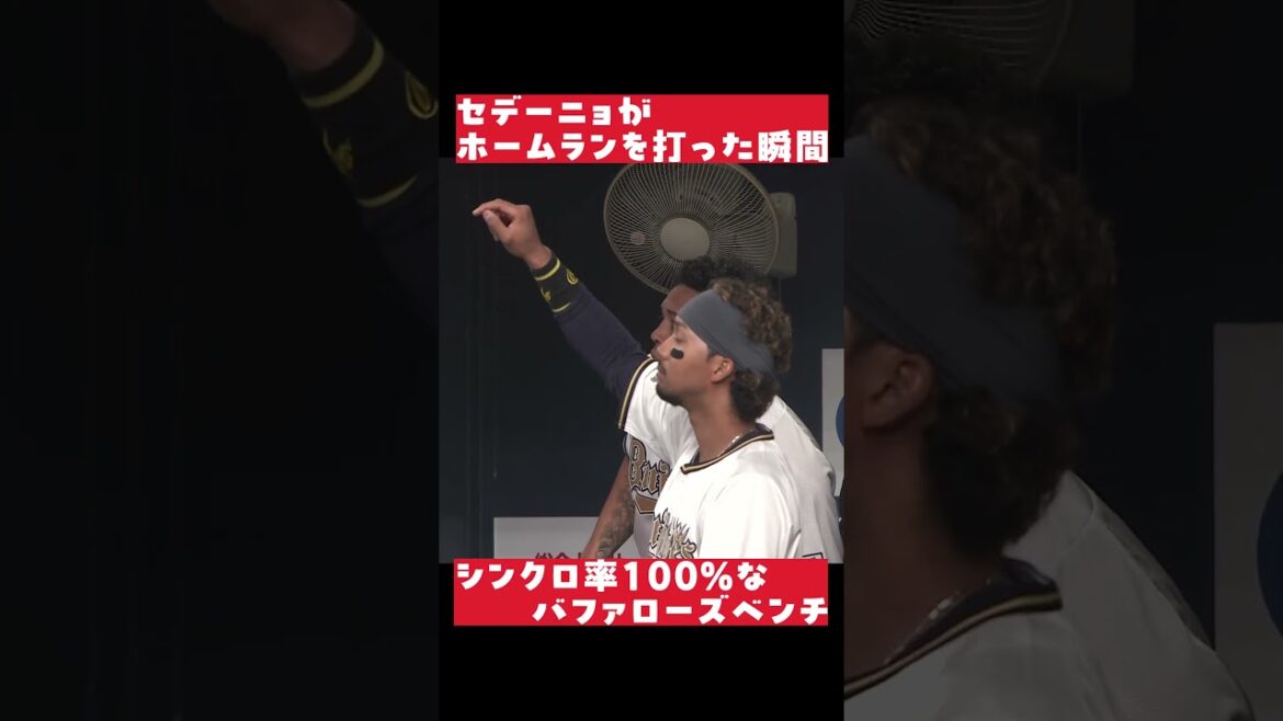 打った瞬間 ベンチも確信 #shorts