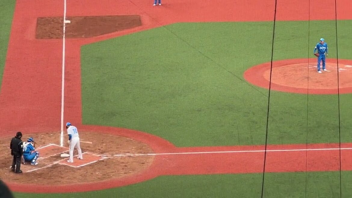 高木大成vs小田真也【西武ライオンズOB戦 2024/3/16】 高木大成vs小田真也【西武ライオンズOB戦 2024/3/16】