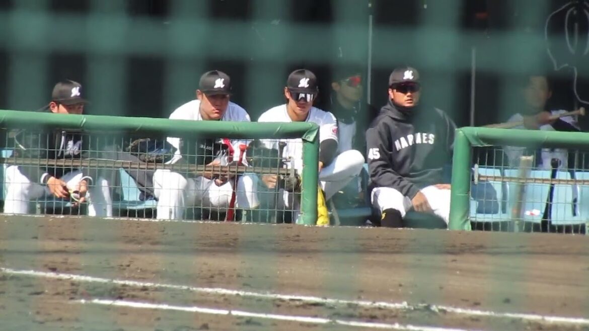 植田将太などマリーンズベンチの様子2024年3月7日 春季教育リーグロッテ浦和球場 千葉ロッテ対 オイシックス新潟アルビレックスBC