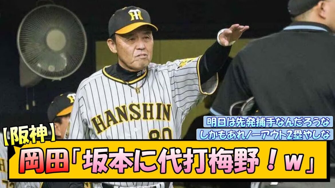 【阪神】岡田「坂本に代打梅野!w」【なんJ 反応 まとめ】 【阪神】岡田「坂本に代打梅野!w」【なんJ 反応 まとめ】