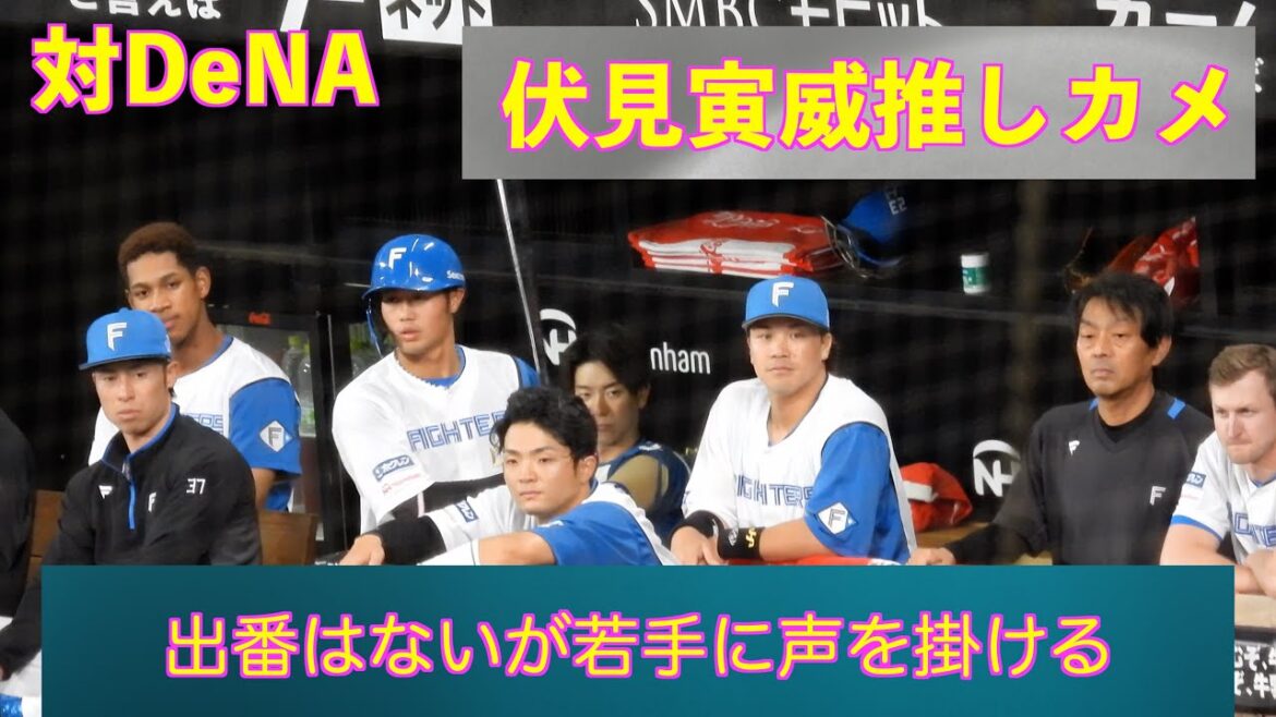 【20240322】今日の伏見寅威推しカメ。若手に声をかけて成長を促す（日本ハム対横浜ベイスターズ）
