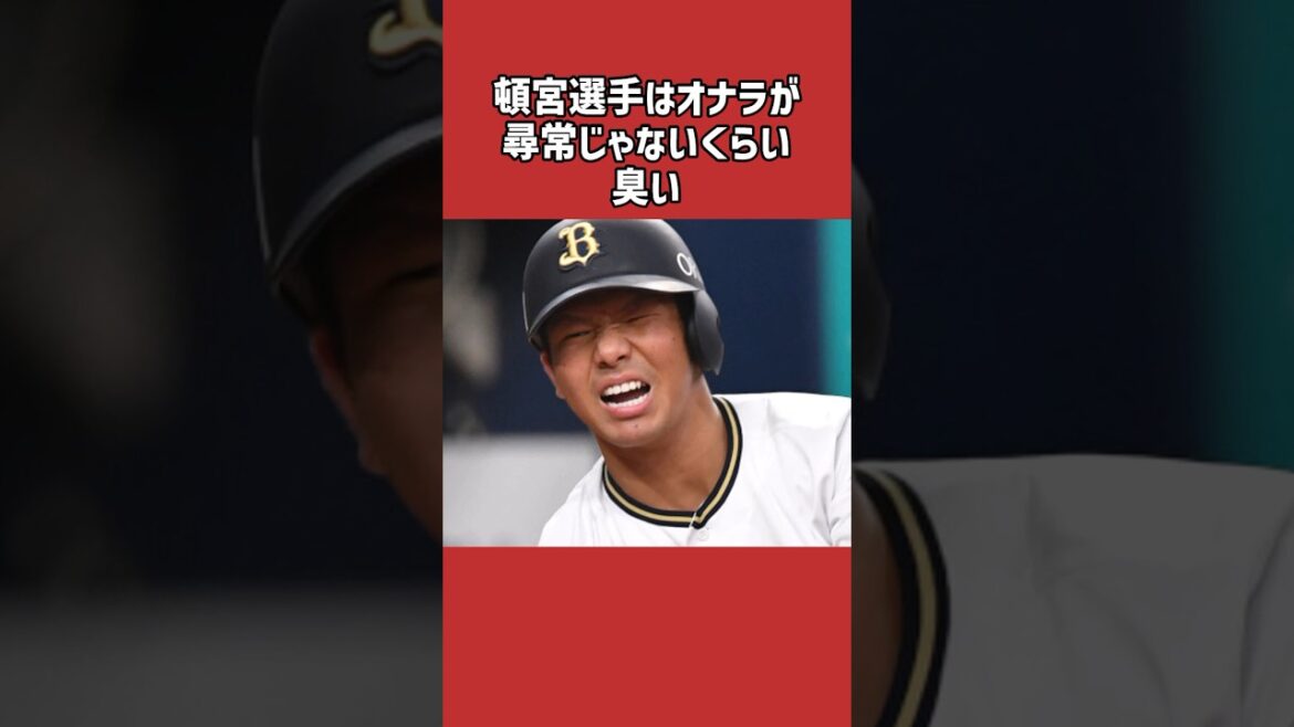 頓宮裕真に関する雑学＃野球＃頓宮裕真＃野球雑学
