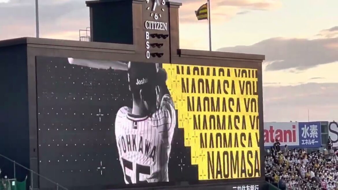 【トラフェス2】阪神 陽川尚将選手 登場曲✨ スピッツ 「ロビンソン」22.7.22.🏟阪神甲子園球場 @レフト外野席