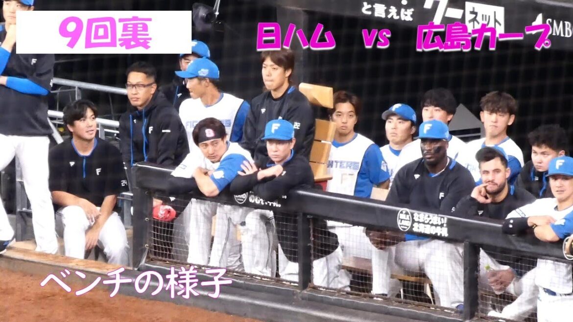 【20240312】９回裏　ベンチの様子（正義）（日本ハム対広島カープ）