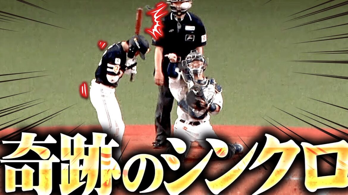 Pacific-League: 【珍の宝石箱】バットにコツン → 奇跡のシンクロ → じゃんけん後出しで“あいこ” !?【助かる】 【珍の宝石箱】バットにコツン → 奇跡のシンクロ → じゃんけん後出しで“あいこ” !?【助かる】