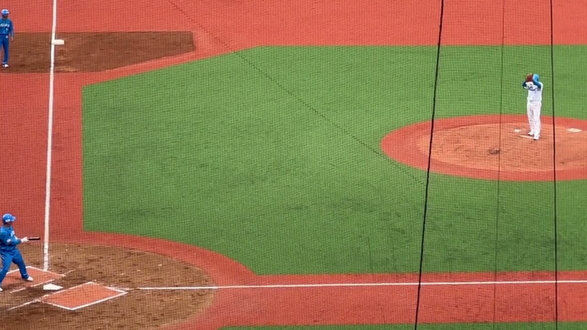 細川亨vs杉本正【西武ライオンズOB戦 2024/3/16】 細川亨vs杉本正【西武ライオンズOB戦 2024/3/16】