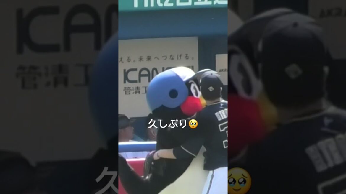 つば九郎、廣岡大志と再会する #東京ヤクルトスワローズ #つば九郎 #shorts