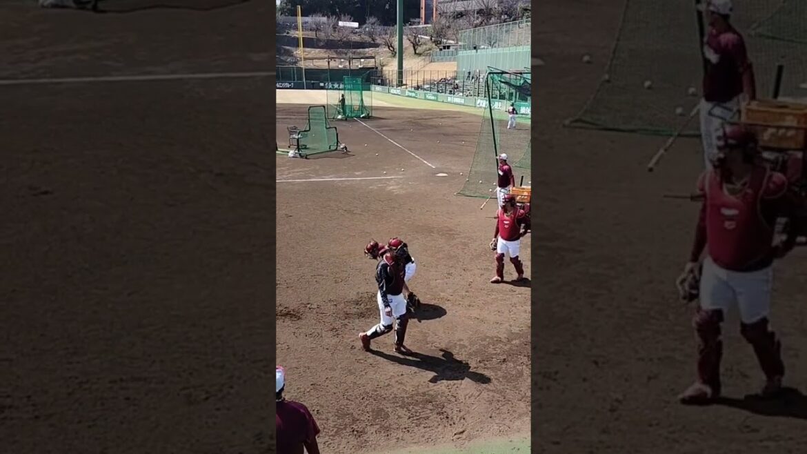 【EAGLES】 #田中貴也 44  #安田悠馬 55 #水上桂 022 #江川侑斗 137 キャッチャー陣の練習 #shorts #東北楽天ゴールデンイーグルス