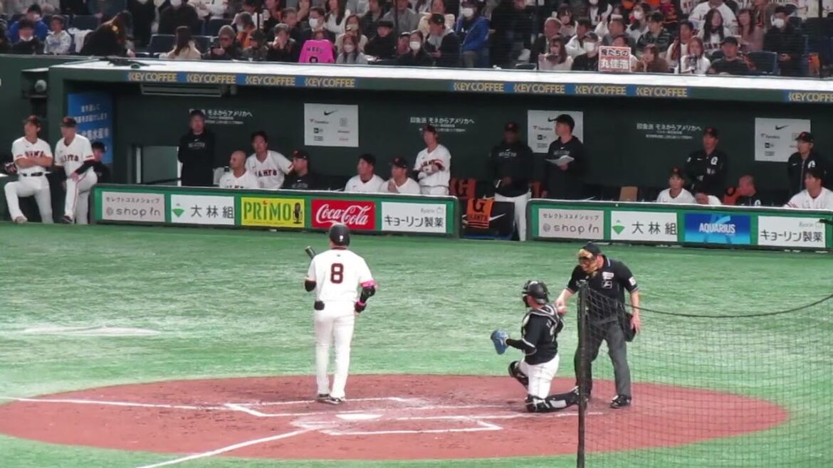 丸佳浩の上手いレフト打ちに反応するベンチの浅野翔吾など　2024年3月19日 読売ジャイアンツ対 千葉ロッテマリーンズ