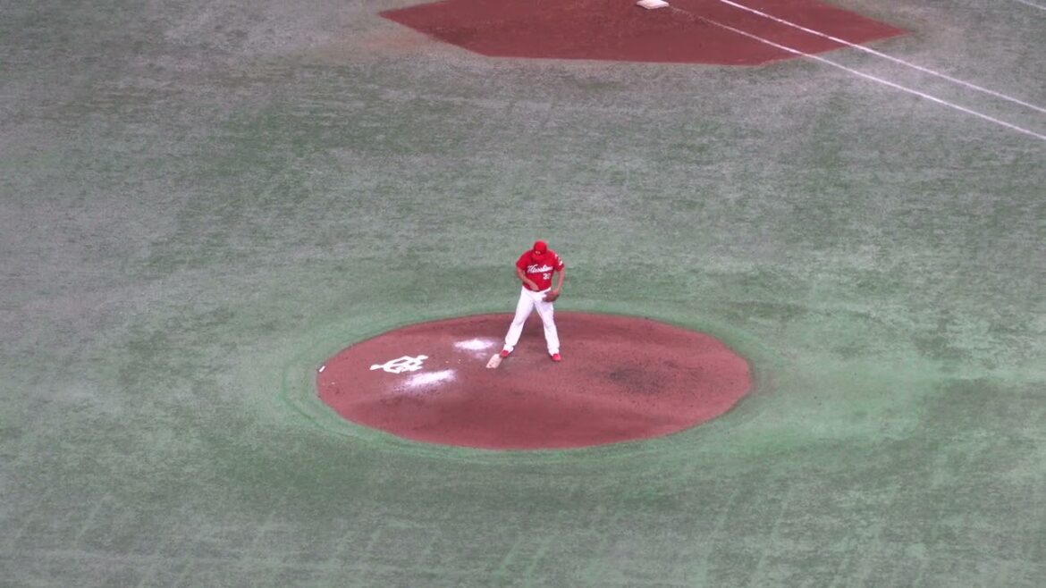 カープ　一岡竜司