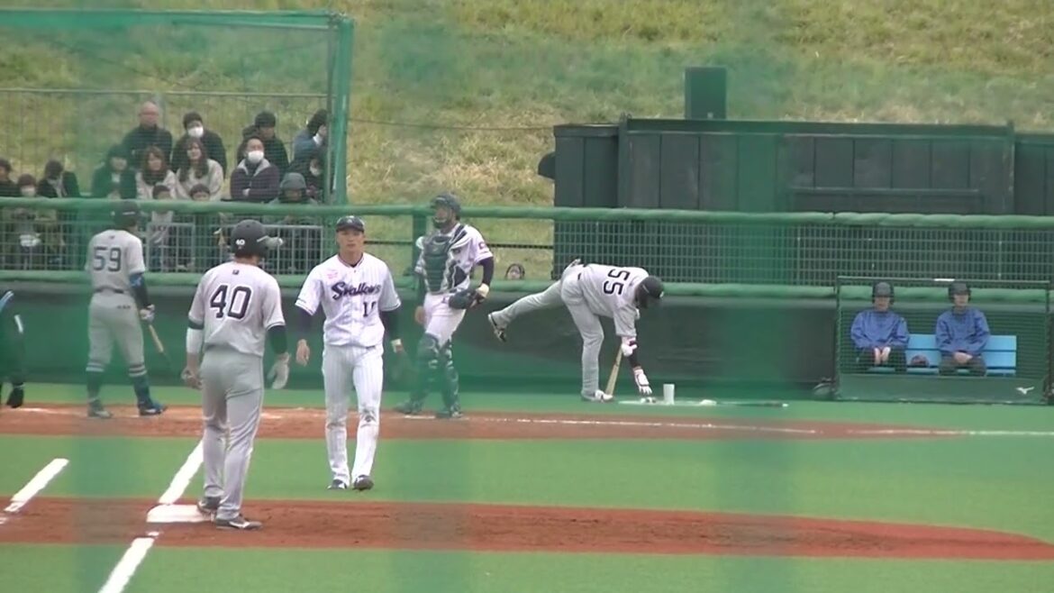 松原聖弥 上手いバント 自分も生き残りそうな絶妙なところへ（ ヤクルトスワローズ対 読売ジャイアンツ2024年3月28日）