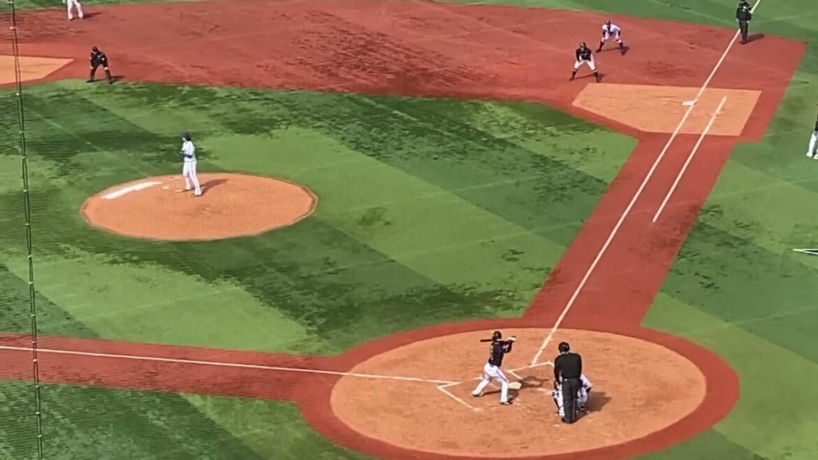 太田椋 タイムリー 3回表 小園健太 オリックスバファローズ 横浜DeNAベイスターズ 2024年3月20日