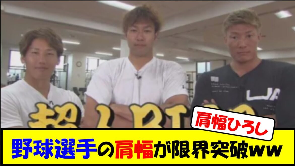 野球選手の肩幅が限界突破ｗｗ【プロ野球】【なんｊ】【2ch】【反応集】