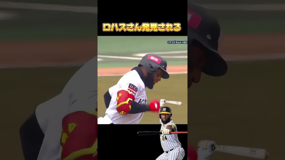 ロハスJr.さん発見される　#プロ野球 #野球ネタ #阪神 #阪神タイガース #ロハスJr #韓国プロ野球
