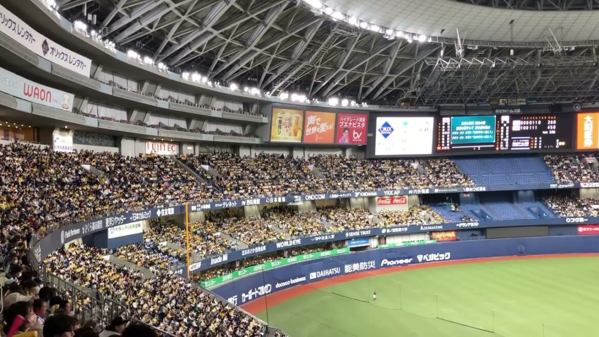 阪神タイガース 小野寺暖 新応援歌 2024/3/23 京セラ #阪神タイガース #小野寺暖