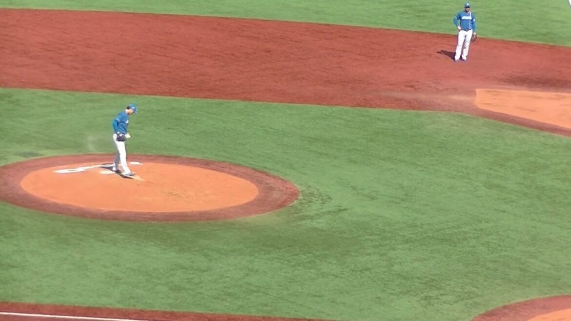 青木宣親 打ち損じのレフトフライ（2024年3月19日 ヤクルトスワローズ対 日本ハムファイアーズ）