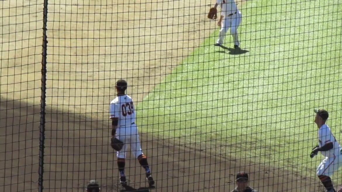 立岡宗一郎キャッチボール（春季教育リーグ 読売ジャイアンツ対 西武ライオンズ2024年3月10日）