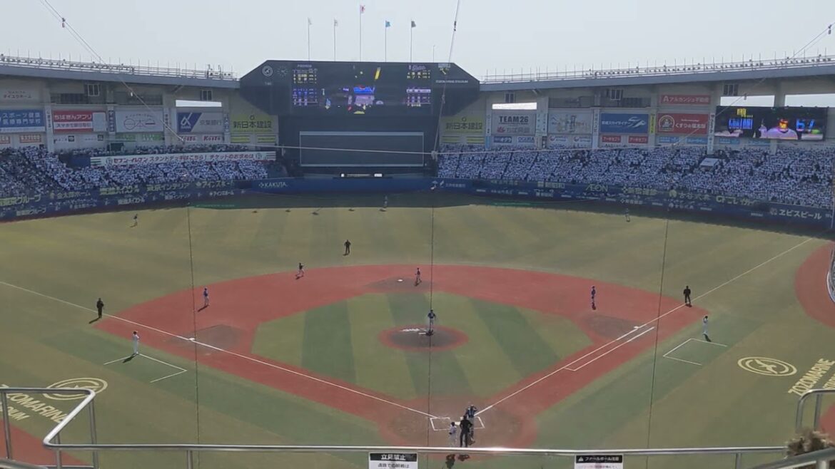 2024年 千葉ロッテ 茶谷健太 登場曲 STARTLINE/大原櫻子