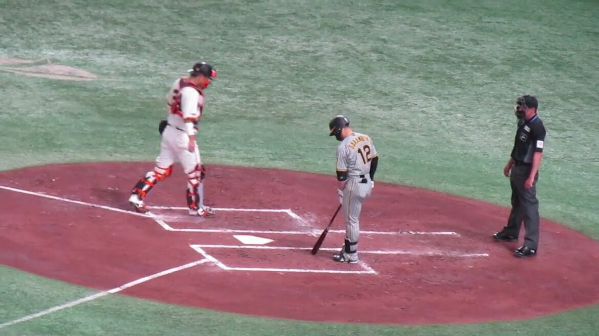 坂本誠志郎スクイズ失敗 大山悠輔が普通にホームへ突っ込んできてサードを支持する大城卓三（ 読売ジャイアンツ対 阪神タイガース2024年3月30日）