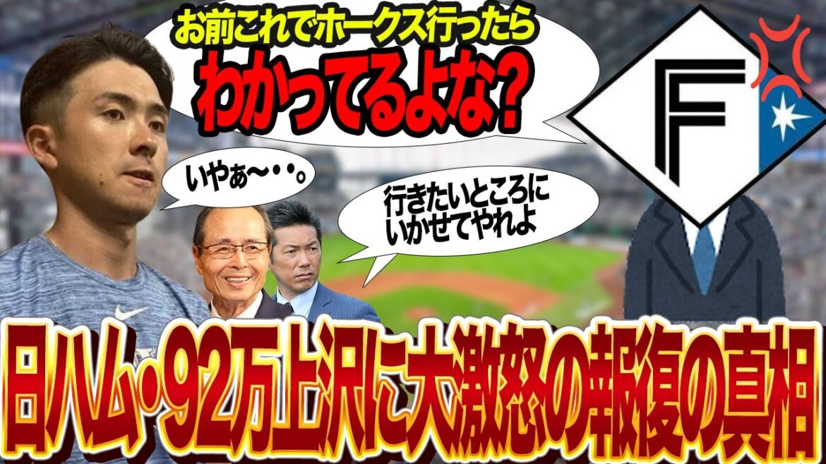 上沢直之のレイズ退団に日本ハム大激怒！！ホークス入団なら日本に帰ってくるなと言わんばかりの圧力、92万円の根がつけられた推定５０００万で育成した投手の末路に絶句【プロ野球】