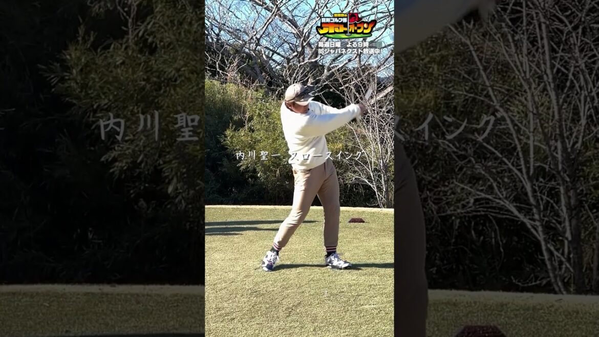 【セ･パで首位打者獲った男! 】#内川聖一 スイングスロー! 【日曜よる9時ホトオープン!】