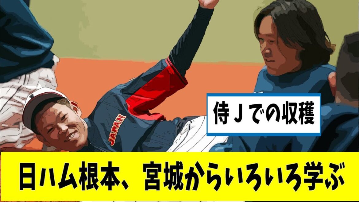 日本ハム・根本悠楓「オリックスの宮城さんから聞けたのは・・・侍での収穫【なんjプロ野球】【野球反応集】【2ch5chスレ】【時事ネタ】 日本ハム・根本悠楓「オリックスの宮城さんから聞けたのは・・・侍での収穫【なんjプロ野球】【野球反応集】【2ch5chスレ】【時事ネタ】