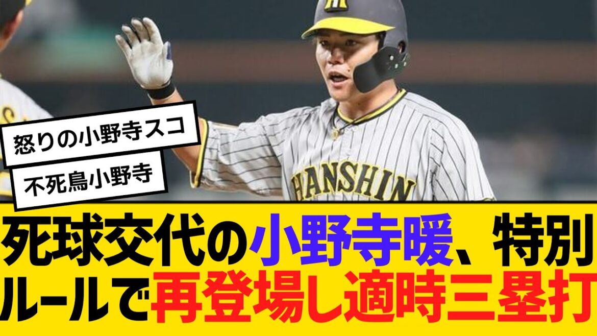オリックスとの練習試合で死球交代の阪神・小野寺暖、特別ルールで再登場し適時三塁打　【2ch】【5ch】【反応】