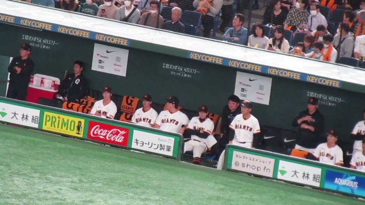 ベンチで喜ぶ小林誠司や松原聖弥の様子（ 読売ジャイアンツ対 阪神タイガース2024年3月30日）