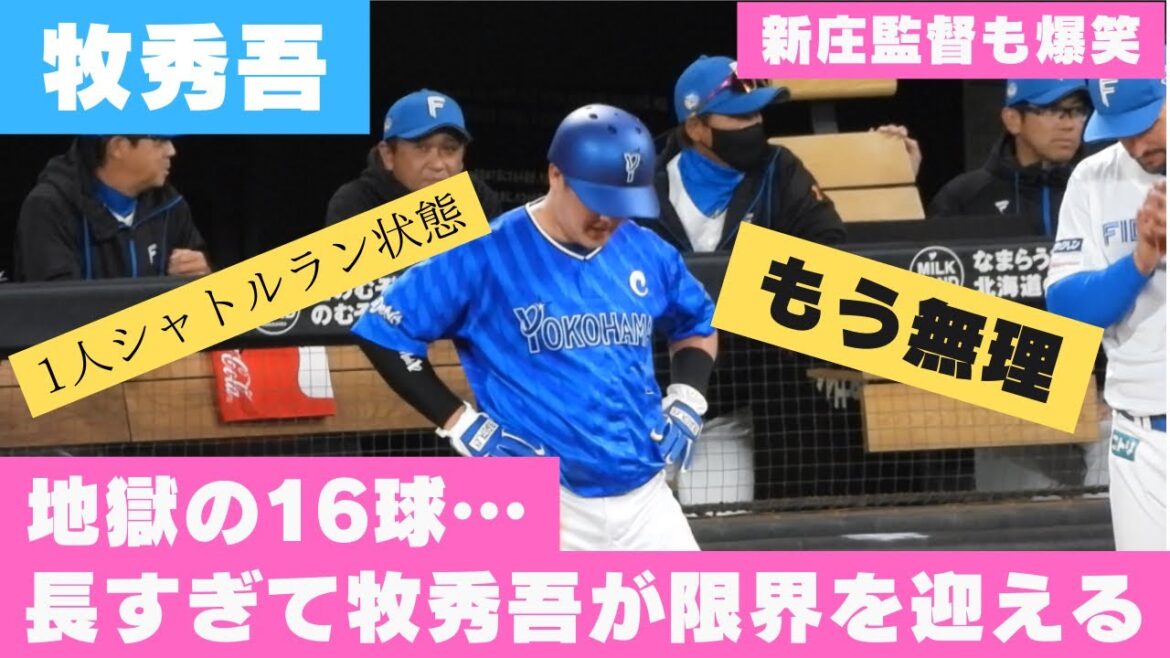 【牧秀吾が汗だくに…】伊藤大海vs宮﨑敏朗 全16球の勝負で牧秀吾はシャトルラン状態にww エスコンフィールド北海道オープン戦日ハム対横浜　2024/3/22