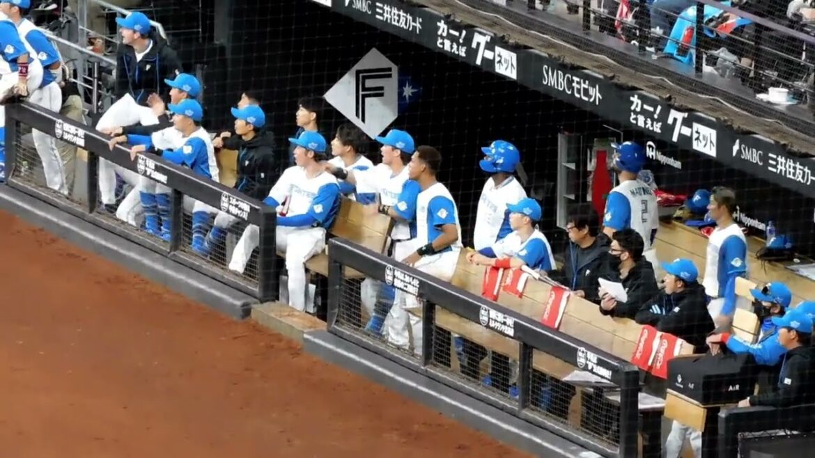 【日本ハム】野村佑希選手 待望の今季初ヒットの瞬間 走塁アウトになるも選手ファンも拍手で迎える ベンチの様子【2024年4月3日】