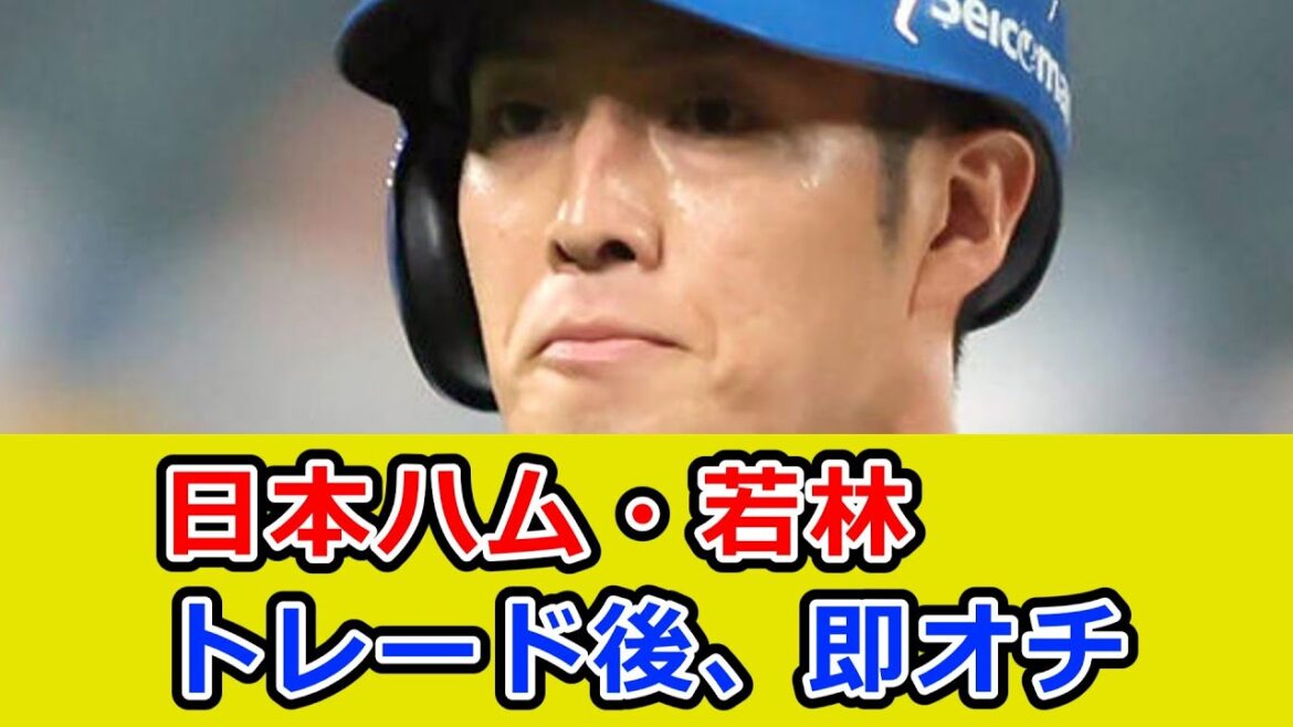 日本ハム・若林晃弘、トレード後、即肉離れで開幕絶望