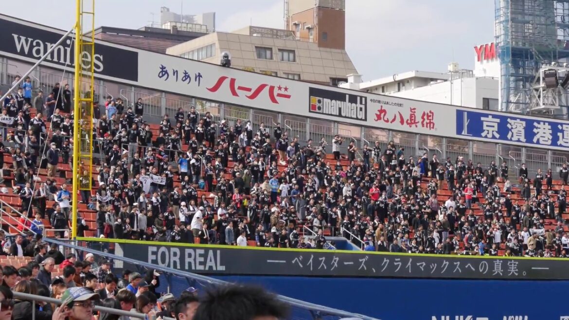 千葉ロッテマリーンズ 鈴木大地2017新応援歌（2nd） 横浜スタジアム