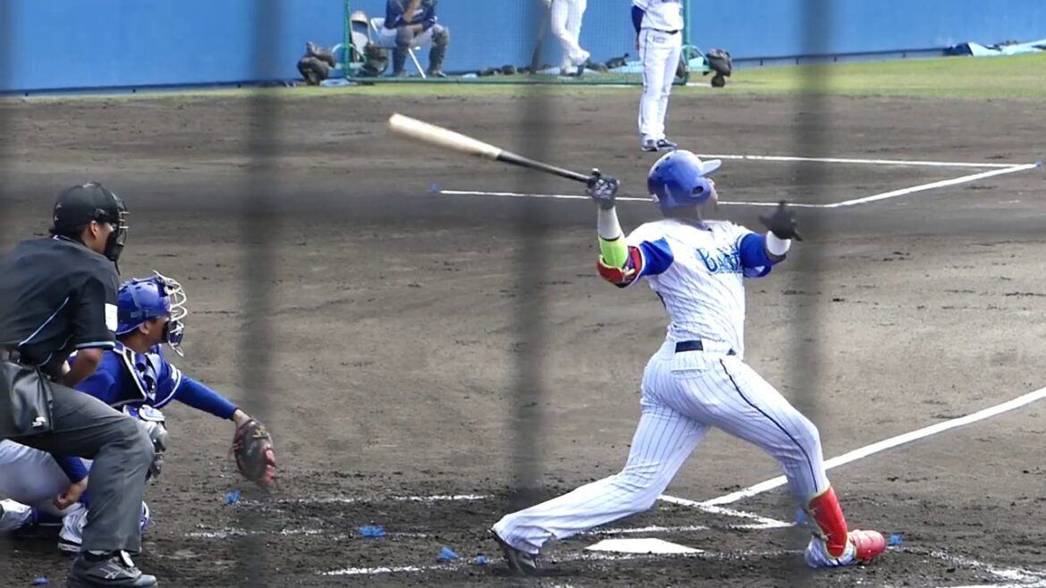 2020年2月21日 ファーム練習試合  横浜DeNA ー 中日 デラロサ選手 第1打席