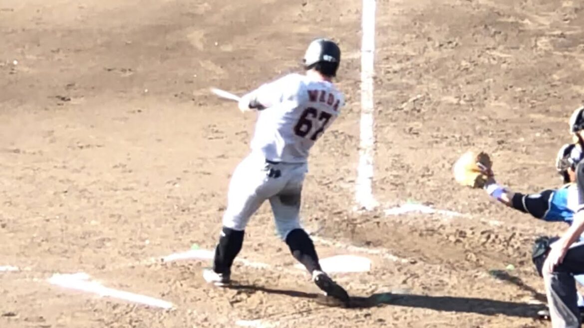 2018年6月3日 和田恋（巨人）イースタン本塁打王・清宮に並ぶ9号ホームラン イースタンリーグ 日本ハム戦