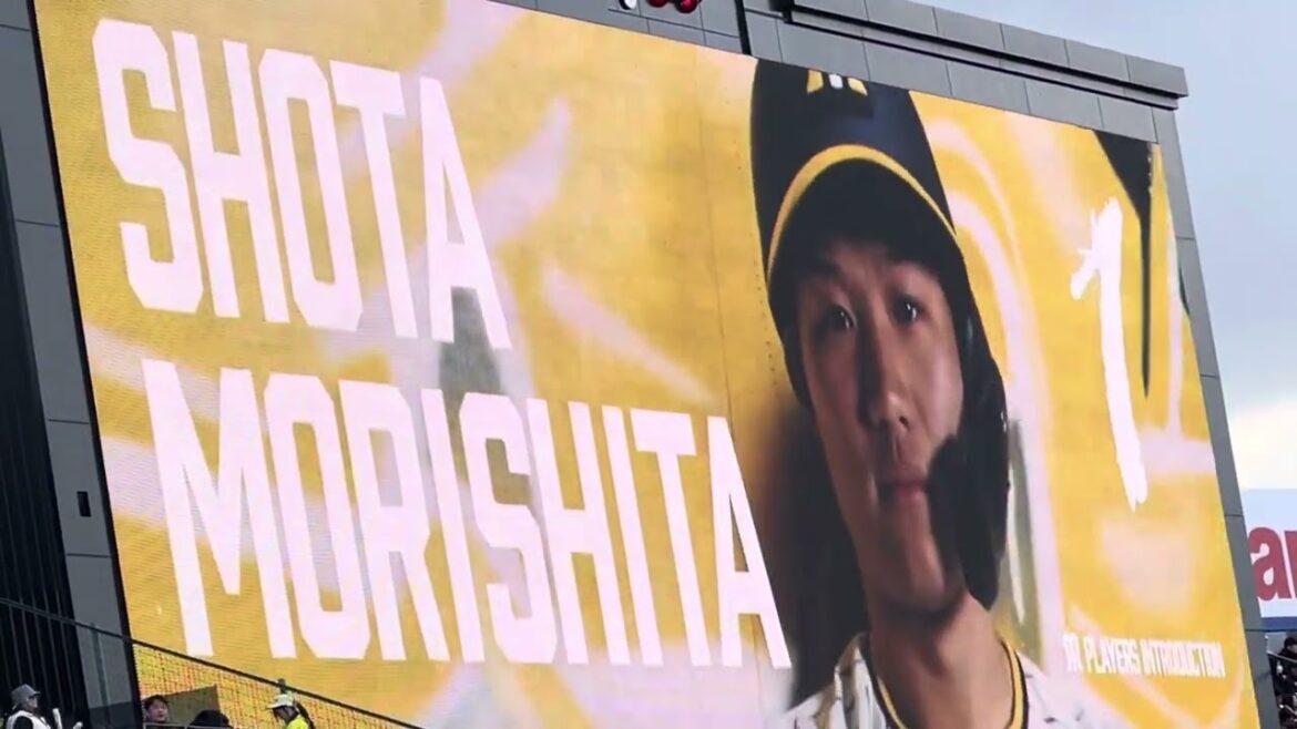 【24.🆕】  #阪神 #森下翔太 選手 登場曲ビジョン 24.3.8.  阪神甲子園球場　OP戦