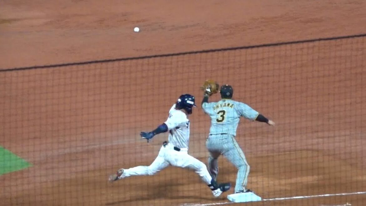 よく走った！武岡龍世ゲッツーを何とか逃れ同点に！東京ヤクルトスワローズvs阪神タイガース 2024/04/05