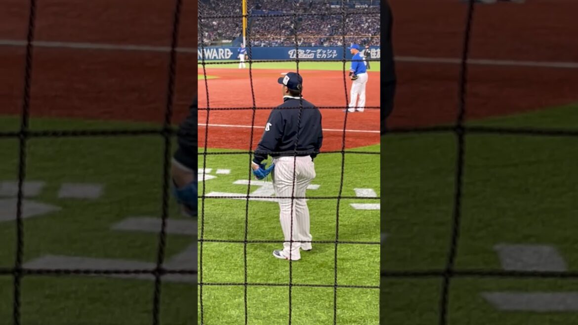 押せ押せ時の新選手会長 #swallows #清水昇 #オスナ