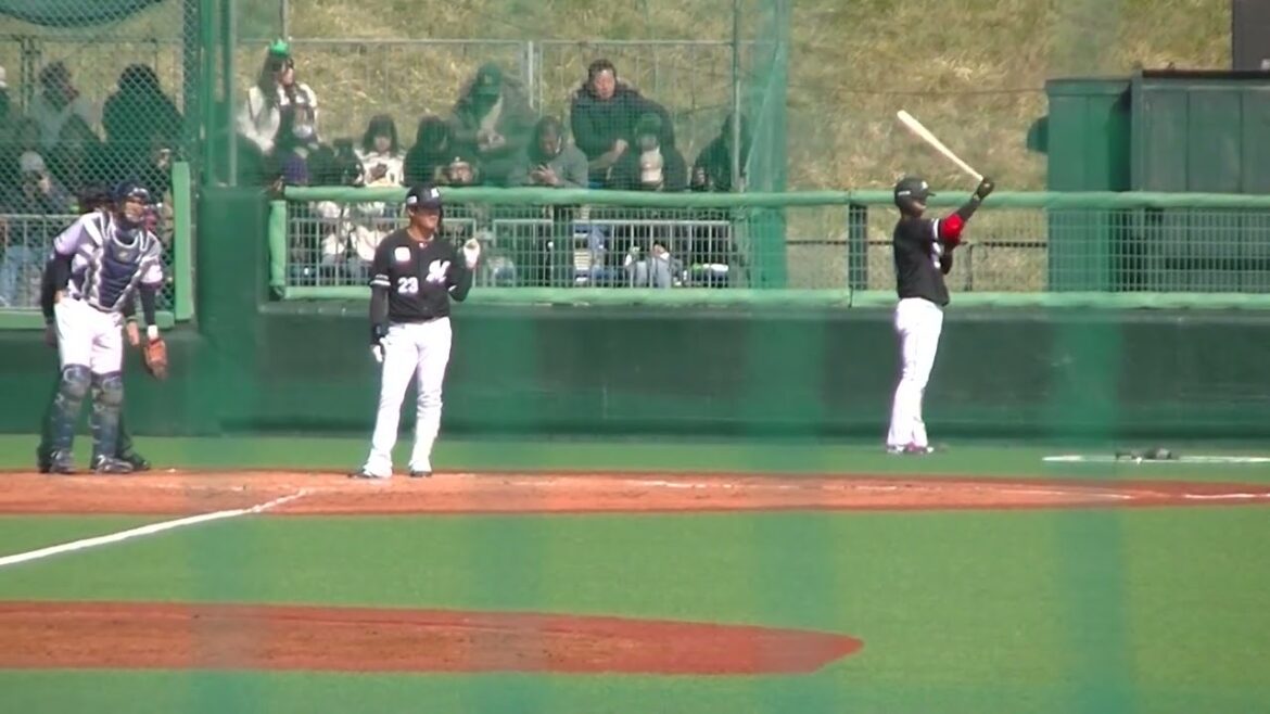 石川慎吾をショートゴロに打ち取る山野太一2024年3月9日 春季教育リーグヤクルトスワローズ対 千葉ロッテマリーンズ